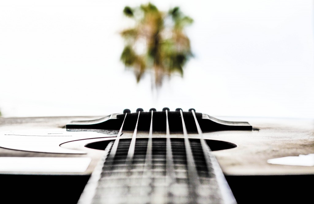 Guitar and Palm Tree Unity Gain
